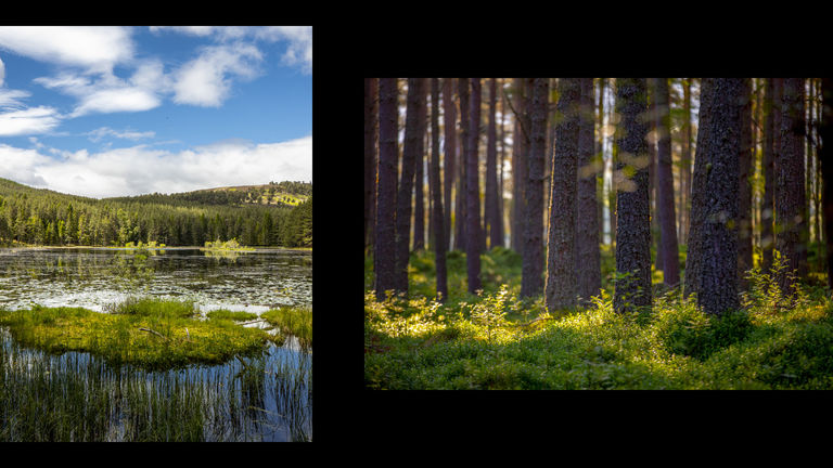 7 Estate Photos 3 black