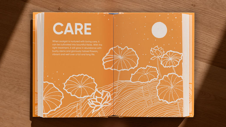 Chapter Care: When ssukgat is nurtured with loving care, it can be cultivated into bountiful fields. With the right treatment, it will grow in abundance with bushy stems and gloriously haloed flowers, vibrant and well over a full and long life.